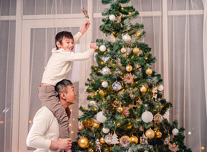 儿子和父亲在树上加星 星星 成人 家庭 庆祝图片