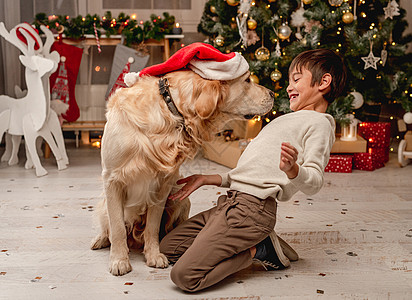 小男孩在狗身上戴圣诞老人帽子 火花 诺埃尔 家图片