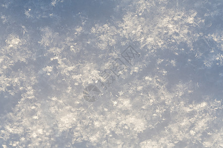 纯雪纹理 冰 圣诞节 蓝色的 寒意 霜 十二月 干净的图片