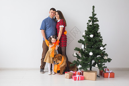 宠物 节假日和节日概念   有狗的家庭站在圣诞树附近 快乐 说谎图片