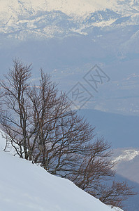 冬季风景 爬坡道 顶峰 山脉 粉末 瑞士 高山 户外 天空图片