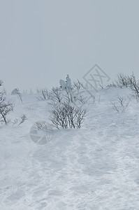冬季风景 冰 冰川 云 假期 山脉 户外图片