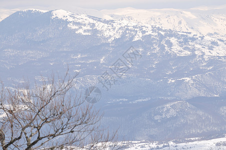 冬季风景 晴天 瑞士 闲暇 滑雪 冻结 全景 高山 爬坡道图片