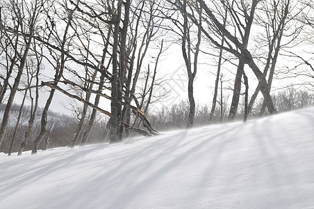 冬季风景 全景 旅行 小路 冒险 暴风雪 闲暇 美丽的 假期图片