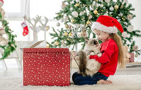 圣诞节时 孩子和小猫一起吃抹布娃娃 童年 女孩图片