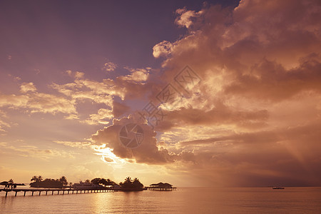 热带热带海滩 海岸线 水 蓝色的 树 美丽的 海洋 房子图片