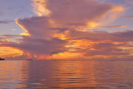 热带热带海滩 海洋 黄昏 棕榈 夏天 日出 水图片