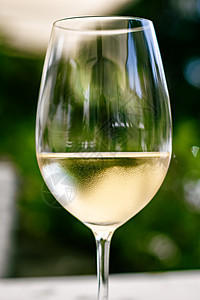 夏季花园露台豪华餐厅的白葡萄酒 葡萄园酒庄的品酒体验 美食之旅和度假旅行 阳台 欧洲图片