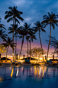 泰国日落时夜间有棕榈树的豪华游泳池 海 椅子图片