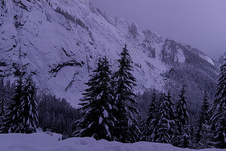 夜间阿尔卑斯山村 镇 蒂罗尔 天空 街道 雪背景图片