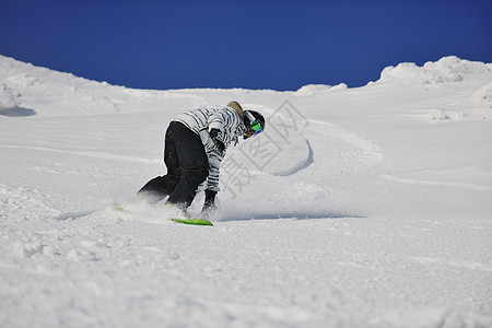 雪板妇女 冒险 滑雪者 蓝色的 粉末 冬天 成人图片