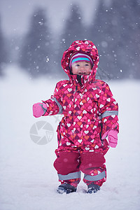 冬季 公园 可爱的 有趣的 寒冷的 女士 乐趣 雪橇图片