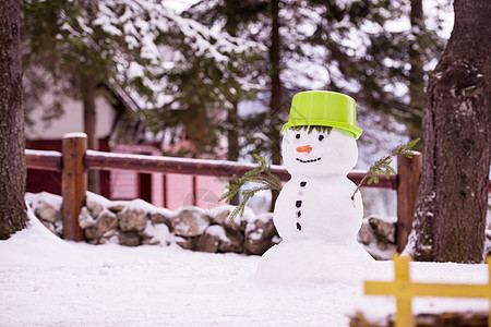 带着绿色帽子微笑的雪人 寒冷 冬天 有趣的 森林 男人图片