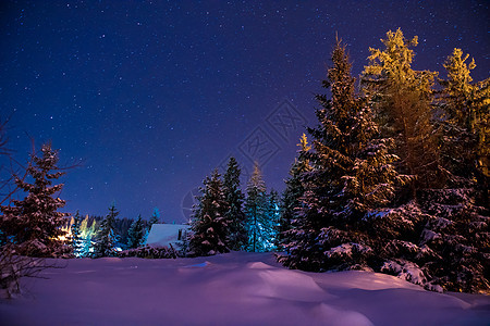 美丽的冬夜风景 旅行 星星 霜 假期 圣诞节 木头图片