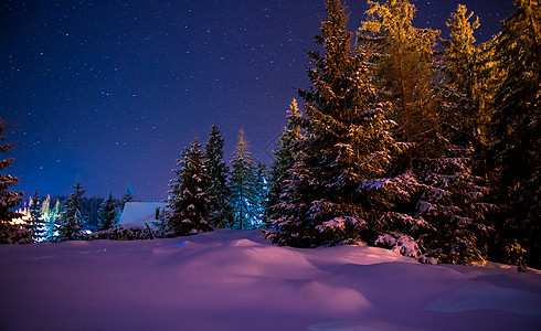 美丽的冬夜风景 雪 北方 山 木头 乳白色 天空图片