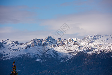 冬冬山 全景 场景 雪 森林 树 蓝色的 寒冷的 欧洲图片