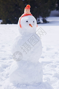 冬季雪人 霜 天空 幸福 帽子 假期 蓝色的图片
