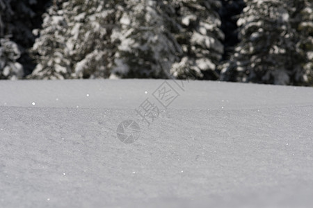 雪雪背景 森林 降雪 圣诞节 山 冷杉 冻结 寒冷的图片