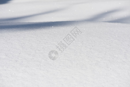 雪雪背景 树 雪堆 阴影 自然 假期 降雪 天空 美丽的图片