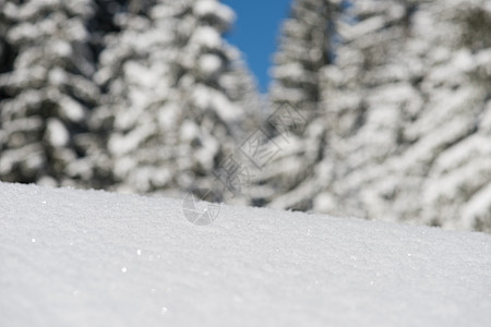 雪雪背景 树 天空 美丽的 蓝色的 户外 雾凇 场景 爬坡道图片