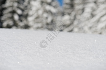 雪雪背景 冰 晴天 冷杉 场景 降雪 霜 爬坡道 户外图片