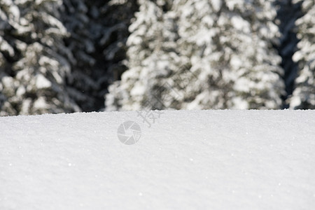 雪雪背景 云 覆盖 雾凇 晴天 圣诞节 蓝色的 森林图片