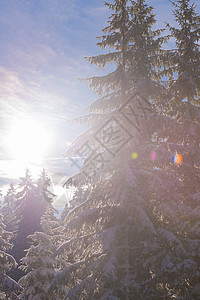 日落时森林冬季景观 风景 霜 天气 山图片