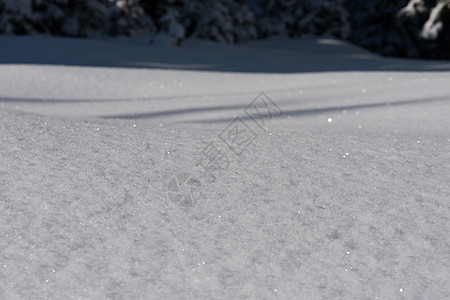 雪雪背景 天气 场景 阴影 冷杉 雪堆 降雪 蓝色的 圣诞节图片