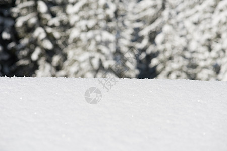 雪雪背景 树 美丽的 早晨 云杉 山 天气图片