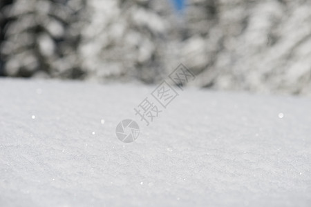 雪雪背景 降雪 寒冷的 树 美丽的 雪堆 圣诞节 冰图片