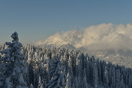 冬季山地景观 童话 霜 早晨 圣诞节 季节 降雪图片