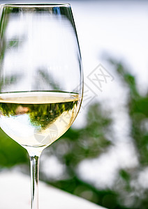 夏季花园露台豪华餐厅的白葡萄酒 葡萄园酒庄的品酒体验 美食之旅和度假旅行 旅游 婚礼图片