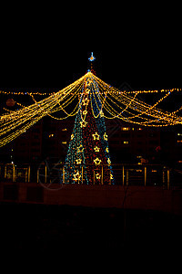 长夜照射 在广场上一棵特别装饰的圣诞主树 在雨后倒影 城市 湿的图片