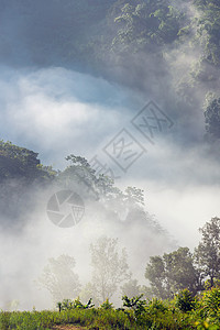 在泰国山区日出时 神奇的雾在自然山上飘移 笑声 图片