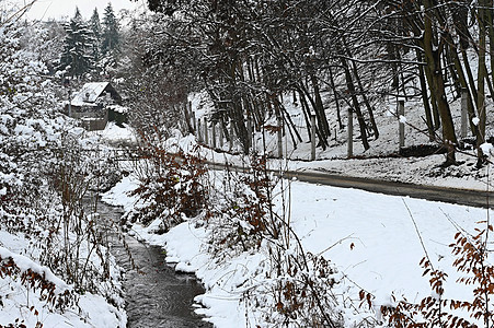 美丽的雪景景观 冬季自然 - 季节概念 场景图片