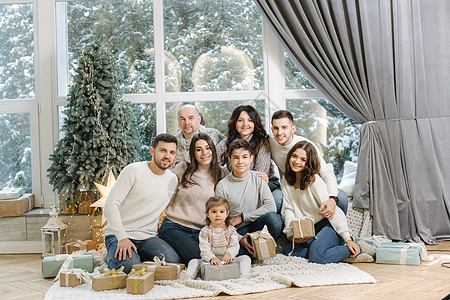诺埃尔大型家庭聚会的肖像 一个时尚的大家庭 白发苍苍的祖父母 孙女 孙子 兄弟 姐妹 孙子坐在地板上 领取礼物 枞树 圣诞心情 图片
