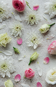 混凝土背景上的粉红色和白色花朵图片