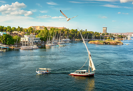 尼罗河和美丽的船只图片
