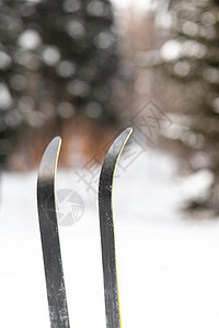 山区或森林中滑雪的冬季节日很活跃 天 滑雪者图片