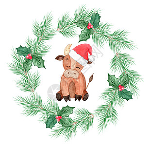 圣诞时戴圣诞圣诞礼帽的水彩公牛与白色背景隔绝 请使用贺卡设计图片