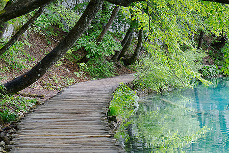 绿色公园的狭窄木制徒步桥 与克罗地亚 欧洲的山河一起美丽的景色 森林 木头图片