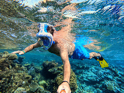 在埃及红海的珊瑚礁中潜泳 野生动物 蓝色的 海岸 闲暇图片