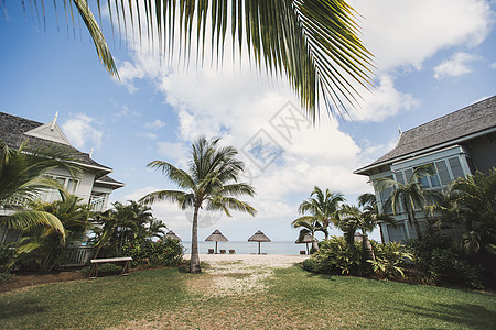 热带沙滩 有遮太阳人和棕榈树图片