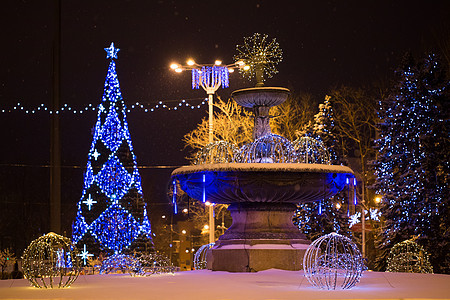主广场上的圣诞树 冬天晚上在雪地里 欧洲 假期图片