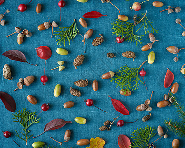 浆果 小野生苹果 橡树和叶子的秋幕背景明亮蓝色背景图片