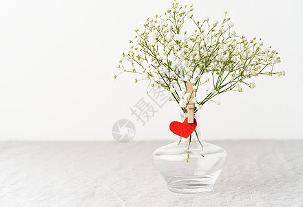 情人节 花瓶里的白色鲜花很细腻 红色感觉到心 -爱人的象征图片