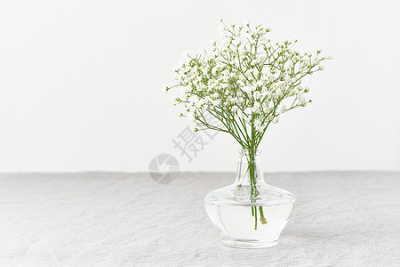 Gypsophila花朵装在玻璃花瓶里 柔软的光线 斯堪的纳维亚最低要求图片