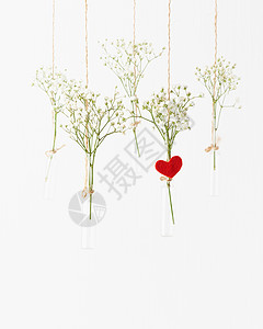 白花挂在玻璃迷你花瓶里 情人节的概念 婚礼的庆祝活动 心 庆典图片