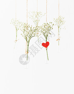 白花挂在玻璃迷你花瓶里 情人节的概念 婚礼的庆祝活动 美丽的 芽图片