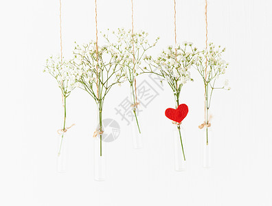 白花挂在玻璃迷你花瓶里 情人节的概念 婚礼的庆祝活动 清除 花朵图片